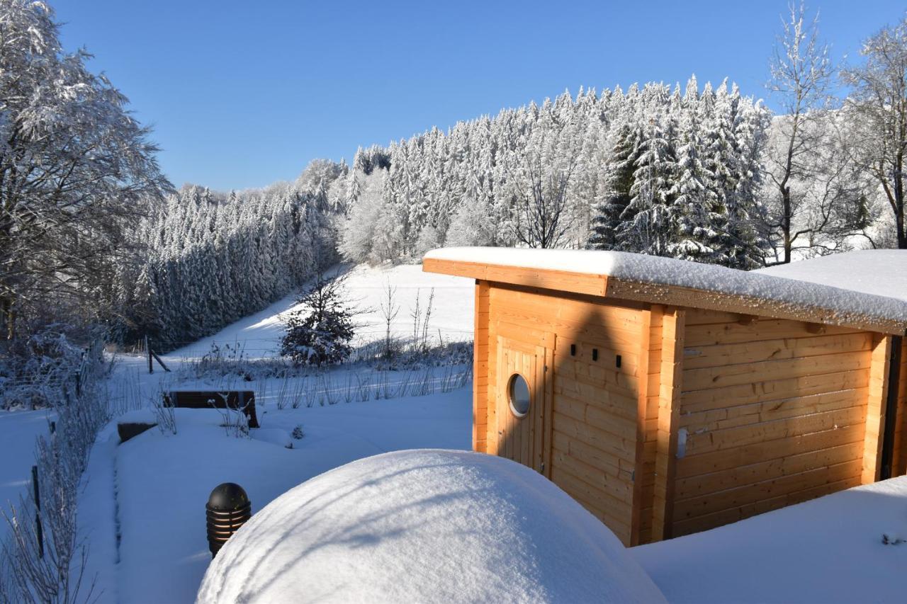 Asten-Chalets Winterberg Eksteriør billede